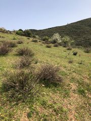 Αγροτεμάχια 10.700 τ.μ. για πώληση, Εύβοια, Αυλώνα-thumb-8