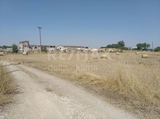 Οικόπεδο 4.246 τ.μ. για ενοικίαση, Ν. Λάρισας, Πλατύκαμπος-thumb-6