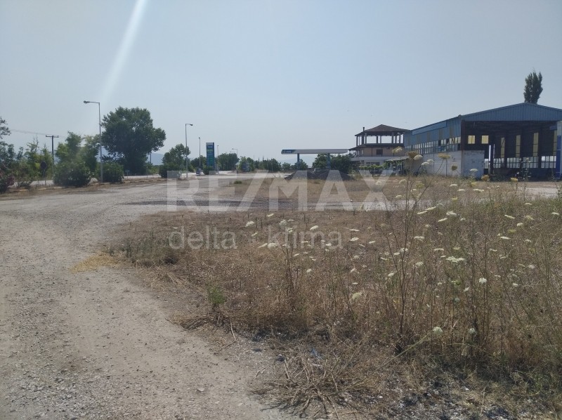 Οικόπεδο 4.246 τ.μ. πρός ενοικίαση, Ν. Λάρισας, Πλατύκαμπος