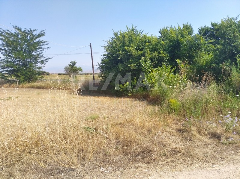 Οικόπεδο 4.246 τ.μ. πρός ενοικίαση, Ν. Λάρισας, Πλατύκαμπος