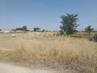 Οικόπεδο 4.246 τ.μ. για ενοικίαση, Ν. Λάρισας, Πλατύκαμπος-thumb-5