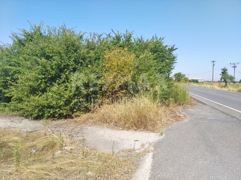 Οικόπεδο 4.246 τ.μ. πρός ενοικίαση, Ν. Λάρισας, Πλατύκαμπος