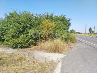 Οικόπεδο 4.246 τ.μ. για ενοικίαση, Ν. Λάρισας, Πλατύκαμπος-thumb-2