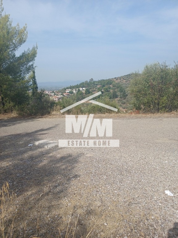 Αγροτεμάχια 4.384 τ.μ. προς πώληση, Αιτωλοακαρνανία, Αγρίνιο