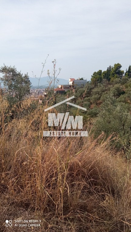 Αγροτεμάχια 4.384 τ.μ. προς πώληση, Αιτωλοακαρνανία, Αγρίνιο