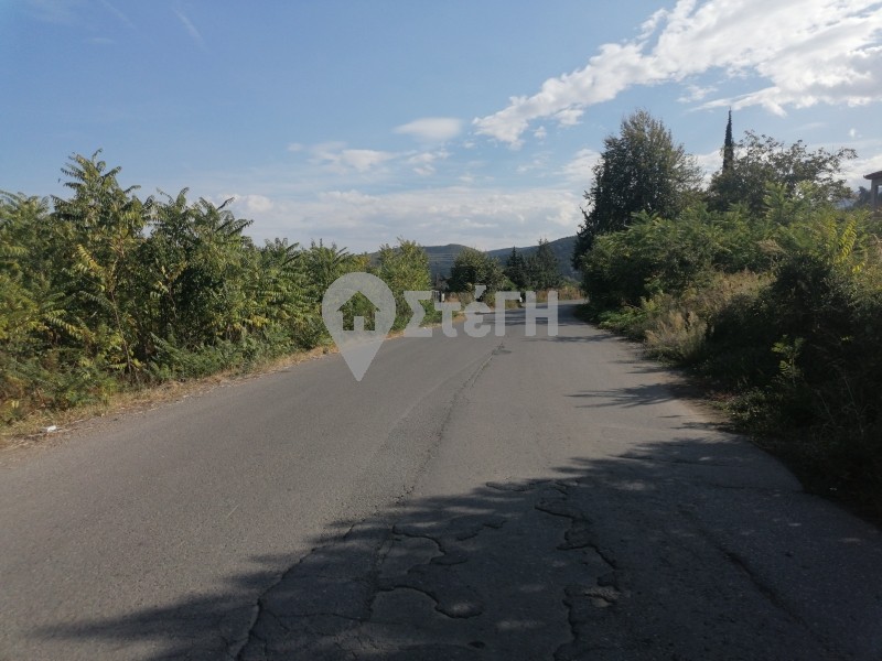 Αγροτεμάχια 3.300 τ.μ. προς πώληση, Κουλούκι