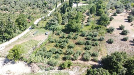 Parcel 9.453sqm for sale-Lefkada » Apollonio