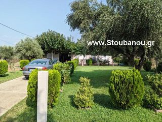 Μονοκατοικία 203 τ.μ. προς πώληση, Ήλιδα-thumb-2