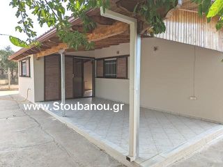 Μονοκατοικία 203 τ.μ. προς πώληση, Ήλιδα-thumb-5