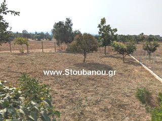 Μονοκατοικία 203 τ.μ. προς πώληση, Ήλιδα-thumb-8