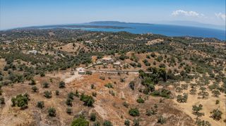 Αγροτεμάχια 20.000 τ.μ. προς πώληση, Βερβερούδα-thumb-21