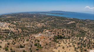 Αγροτεμάχια 20.000 τ.μ. προς πώληση, Βερβερούδα-thumb-1