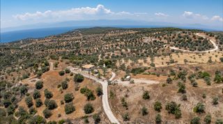 Αγροτεμάχια 20.000 τ.μ. προς πώληση, Βερβερούδα-thumb-8