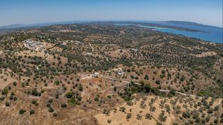 Αγροτεμάχια 20.000 τ.μ. προς πώληση, Βερβερούδα-thumb-22