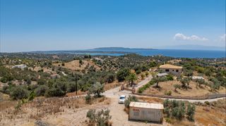 Αγροτεμάχια 20.000 τ.μ. για πώληση