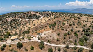 Αγροτεμάχια 20.000 τ.μ. προς πώληση, Βερβερούδα-thumb-14