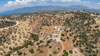 Αγροτεμάχια 20.000 τ.μ. προς πώληση, Βερβερούδα-thumb-17