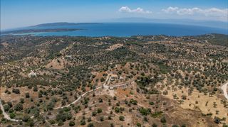 Αγροτεμάχια 20.000 τ.μ. προς πώληση, Βερβερούδα-thumb-24