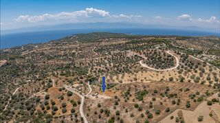 Αγροτεμάχια 20.000 τ.μ. προς πώληση, Βερβερούδα-thumb-5