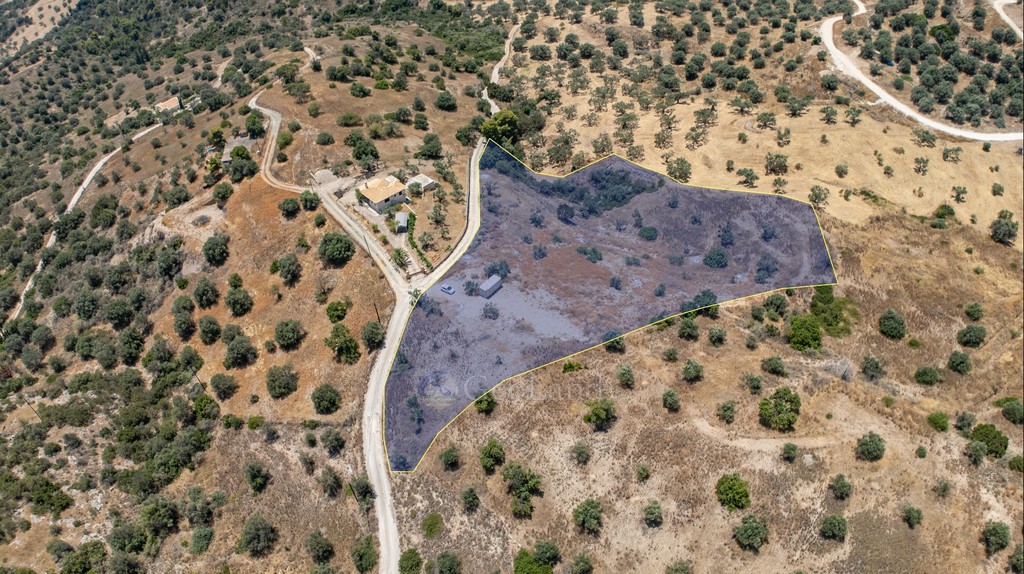 Αγροτεμάχια 20.000 τ.μ. προς πώληση, Βερβερούδα