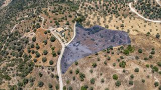 Αγροτεμάχια 20.000 τ.μ. προς πώληση, Βερβερούδα-thumb-4