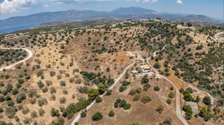 Αγροτεμάχια 20.000 τ.μ. προς πώληση, Βερβερούδα-thumb-16