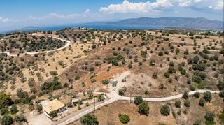 Αγροτεμάχια 20.000 τ.μ. προς πώληση, Βερβερούδα-thumb-7
