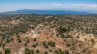 Αγροτεμάχια 20.000 τ.μ. προς πώληση, Βερβερούδα-thumb-9