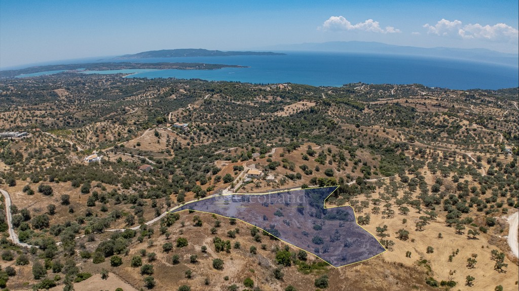 Αγροτεμάχια 20.000 τ.μ. προς πώληση, Βερβερούδα