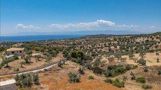 Αγροτεμάχια 20.000 τ.μ. προς πώληση, Βερβερούδα-thumb-6