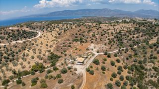 Αγροτεμάχια 20.000 τ.μ. προς πώληση, Βερβερούδα-thumb-18