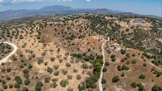 Αγροτεμάχια 20.000 τ.μ. προς πώληση, Βερβερούδα-thumb-15