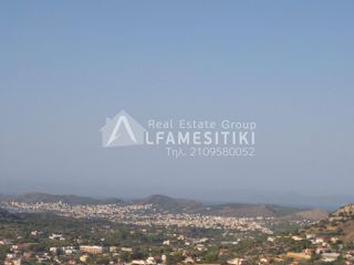 Οικόπεδο 27.500 τ.μ. για πώληση