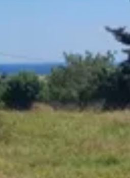 Land plot 4.500sqm for sale-Palaia Fokaia » Κέντρο