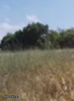 Land plot 4.000sqm for sale-Serifos » Livadi