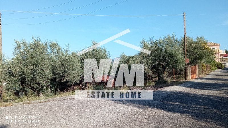 Οικόπεδο 1.226 τ.μ. πρός πώληση, Αιτωλοακαρνανία, Θεστιές