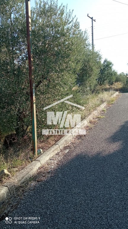 Οικόπεδο 1.226 τ.μ. πρός πώληση, Αιτωλοακαρνανία, Θεστιές