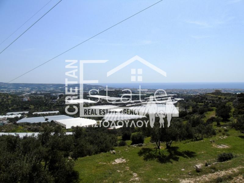 Αγροτεμάχια 8.000 τ.μ. πρός πώληση, Ν. Λασιθίου, Ιεράπετρα