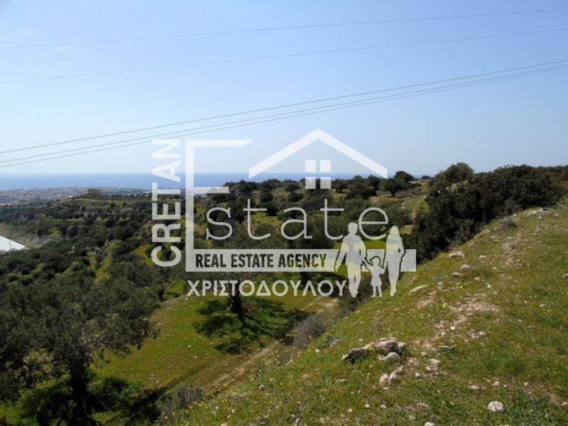 Αγροτεμάχια 8.000 τ.μ. πρός πώληση, Ν. Λασιθίου, Ιεράπετρα