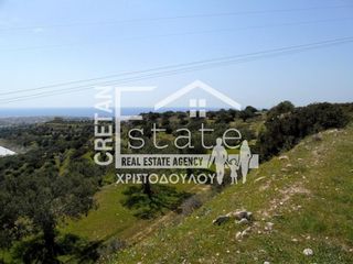 Αγροτεμάχια 8.000 τ.μ. για πώληση, Ν. Λασιθίου, Ιεράπετρα-thumb-4