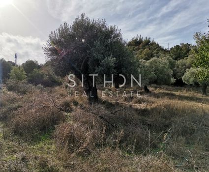 Αγροτεμάχια 464 τ.μ. για πώληση
