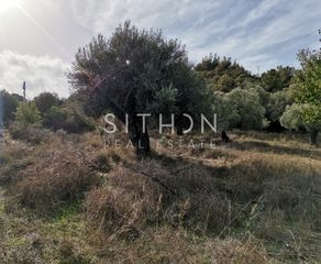 Αγροτεμάχια 464 τ.μ. για πώληση