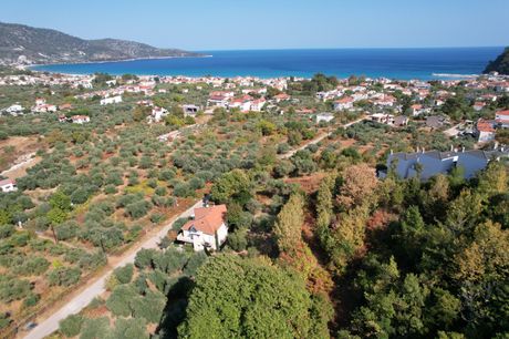 Οικόπεδο 585τ.μ. για πώληση-Θάσος » Χρυσή ακτή