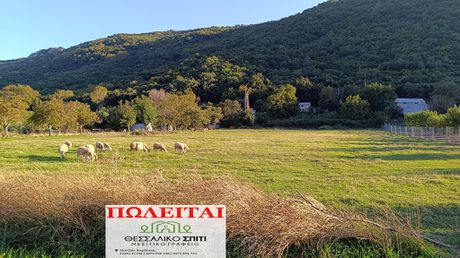 Αγροτεμάχια 5.200τ.μ. για πώληση-Μουζάκι » Γεώργιος καραϊσκάκης
