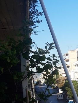 Διαμέρισμα 88τ.μ. για πώληση-Χατζηκυριάκειο