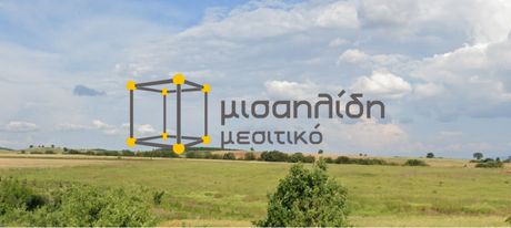 Αγροτεμάχια 11.000τ.μ. για πώληση-Αλεξανδρούπολη » Αμφιτρίτη