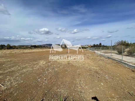 Αγροτεμάχια 11.000τ.μ. για πώληση-Αλεξανδρούπολη » Νέα χιλή