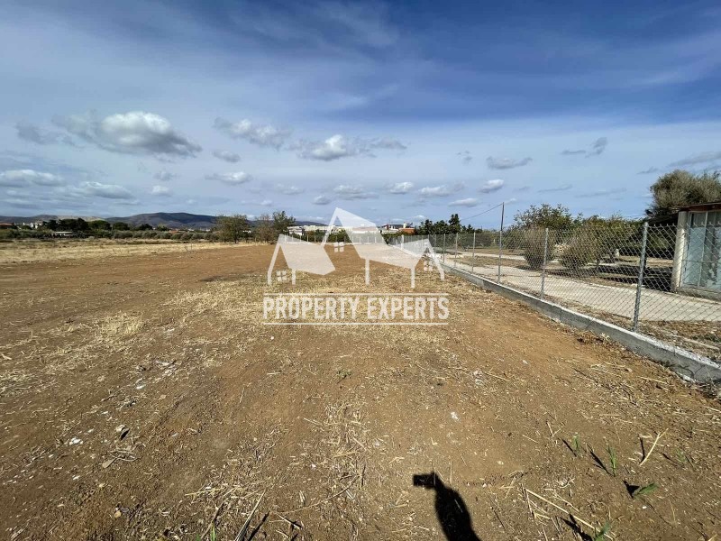 Αγροτεμάχια 11.000 τ.μ. προς πώληση, Νέα Χιλή