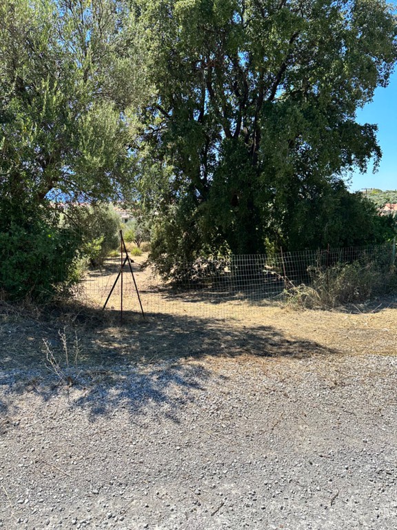 Οικόπεδο 846 τ.μ. προς πώληση, Μαραθιάς Ευπαλίου