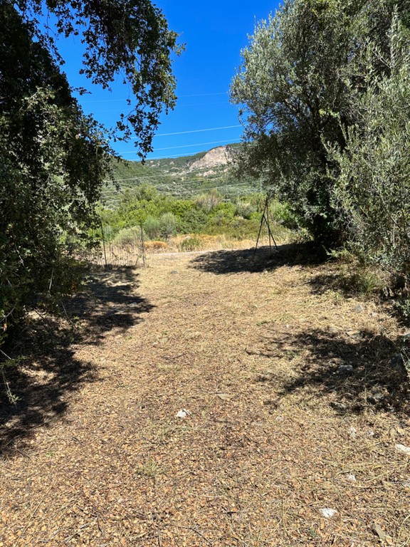 Οικόπεδο 846 τ.μ. προς πώληση, Μαραθιάς Ευπαλίου